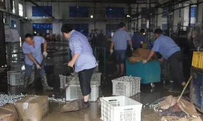 洪水無情襲皖西，世林照明損千萬——安徽世林照明洪災損失紀實與行業警示