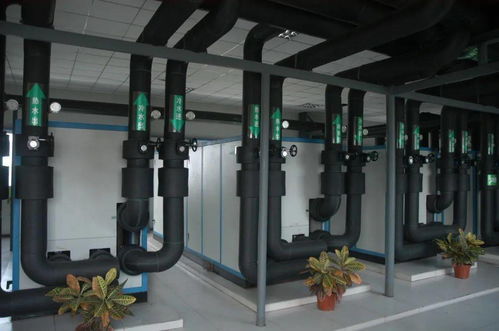 點亮新生 礦區變身生態園的照明魔法