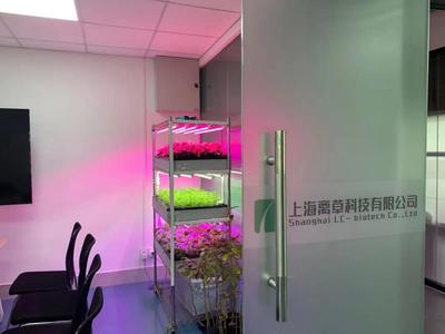 新聞中心的照明設備 科技與藝術的交融，打造專業傳播空間